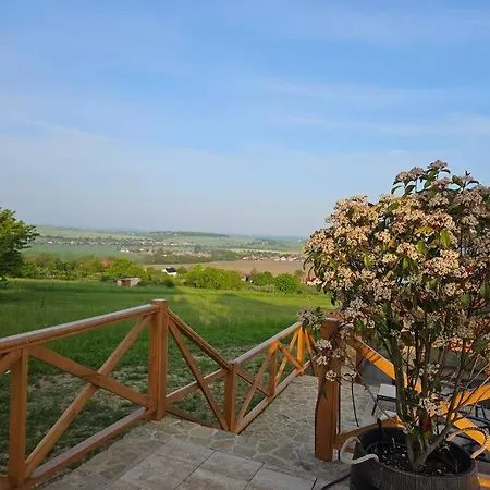 Villa Vinarsky Dom U Kriza *