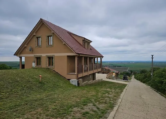 빌라 Vinarsky Dom U Kriza