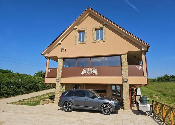 Vinarsky Dom U Kriza 빌라 Vradiste